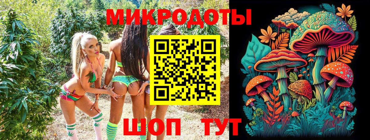 Пугачёв  Галлюциногенные грибы Magic Shrooms  Вход с VPN 